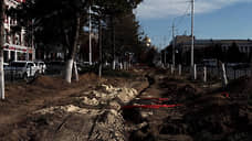 И.о. главы Новочеркасска обвинил в вырубке сосен подрядную организацию