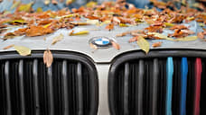 В Ростовской области реже всего в ДТП попадали автомобили BMW