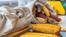 Ростовская область недовыполнила план по экспорту агропродукции на 30%