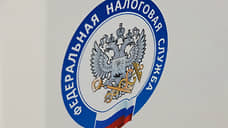 В Ростовской области за месяц зарегистрировались 62 тысячи самозанятых