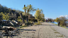 На набережной Таганрога аварийные деревья спилили после получения разрешения