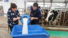 Донской Роспотребнадзор выявил фальсификат в каждой десятой пробе молока