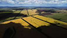 В Ростовской области в 2026 году проведут кадастровую переоценку земель