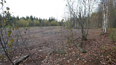 По факту вырубки леса в Каменском районе возбудят уголовное дело