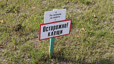 Осенние клещи угрожают жителям Ростовской области