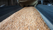 Экспорт зерна с Дона упал вдвое, несмотря на отмену пошлин в 2025 году