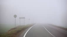 Плотный туман в Ростовской области ограничил видимость на дорогах