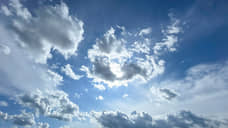 В ночь с 4 на 5 ноября военные сбили БПЛА в четырех районах Дона