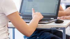 На Дону на долю IT приходится 30% рынка креативных индустрий