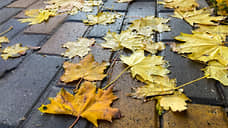 Реконструкцию парка в Миллерово завершат в 2028 году