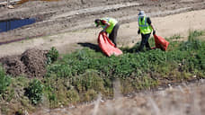 Полиция проверит незаконную свалку отходов птицефабрики в Багаевском районе