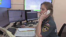 В МЧС Ростовской области поступило 5,5 тысяч ложных звонков о пожарах