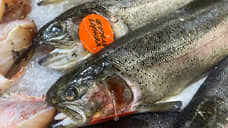 На Дону стоимость замороженной рыбы достигла 313 рублей за килограмм