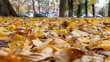 Новая рабочая неделя на Дону будет прохладной и облачной