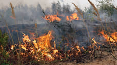В Железнодорожном районе Ростова проведут контролируемое выжигание сухой травы