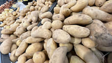 В Ростовской области объем отгрузок овощей снизился на 37%