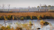 На Дону объем экспорта продтоваров и сельхозсырья снизился до 61%