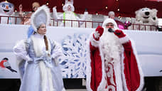 Спрос на новогодних аниматоров в Ростовской области вырос в три раза