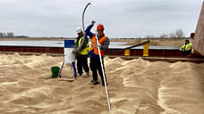 Донские эксперты сертифицировали 10 млн тонн сельхозпродукции для экспорта в 2025 году