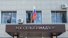 На Дону в 2025 году зафиксировали около 100 случаев брака пищевых товаров