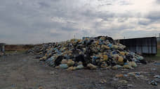 В Ростове к борьбе с незаконным вывозом мусора привлекут волонтеров