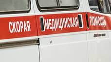 В Ростовской области в ДТП с грузовиком погиб водитель «легковушки»