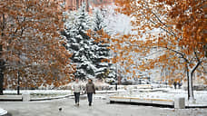 В Ростове-на-Дону выбирают название сквера на месте снесенного дома