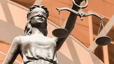 Жителя Ростова приговорили к 24 годам за попытку подрыва самолета чиновника