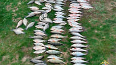 В Ростовской области задержан браконьер с запрещенными сетями