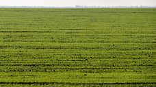 В Ростовской области на КРСТ направят 2,5 млрд рублей в 2026 году