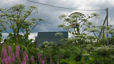 В Азовском районе ввели карантинную зону на более чем 12 га