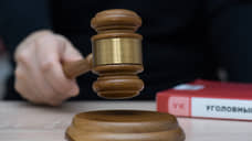 В Ростове осудили несовершеннолетнего из Ставрополя за пропаганду терроризма