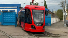 Глава Ростова назвал информацию о сокращении маршрутов недостоверной