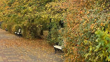 Губернатор сравнил ситуацию с парком Плевен в Ростове с 90-ми годами