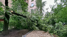 В Таганроге коммунальные службы перешли на режим повышенной готовности