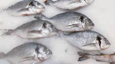 Ростовская область экспортировала в Азербайджан 40 тонн мороженой рыбы