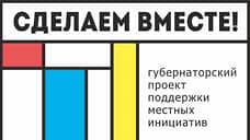 На Дону местные инициативы поддержат субсидиями из областного бюджета