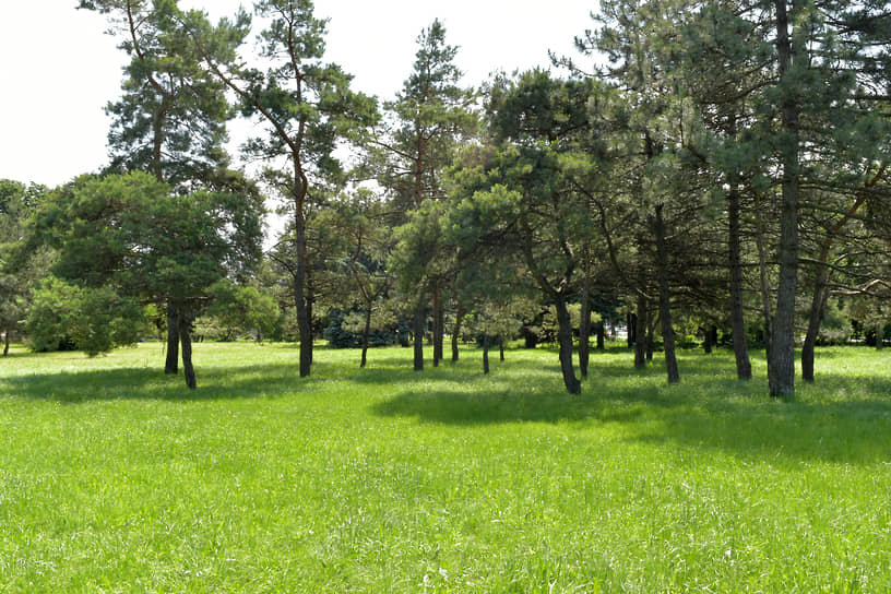 Парк особенно красив в лучах полуденного солнца