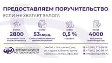 Гарантийная поддержка на Дону, как эффективный инструмент развития бизнеса