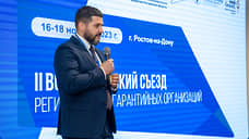 Гарантийная поддержка в уходящем году