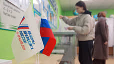 Выборы на Дону