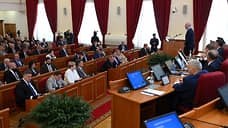Донской парламент обратился к правительству с инициативами по поддержке инвалидов