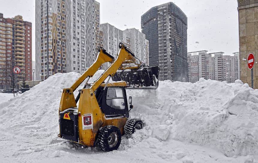 Ущерб городу от действий сотрудников «Благоустройства» оценили в размере 2,3 млн рублей