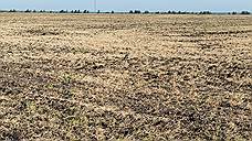 Более 4 млн тонн зерновых собрано в Оренбуржье в 2017 году
