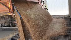 В Оренбургской области намолочено более 1,3 млн тонн зерна