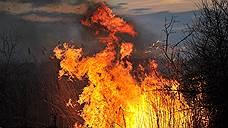 Прокуратура расследует степные пожары в Оренбуржье