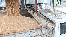 В Оренбургской области собрано более 1,95 млн тонн зерна