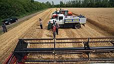 Более половины запланированных сельскохозяйственных площадей засеяли в Оренбуржье