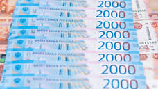 Доходы населения Самарской области за год выросли на 13,5%