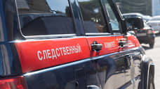 В Самаре расследуют инцидент с мигрантом, протащившим мужчину на машине
